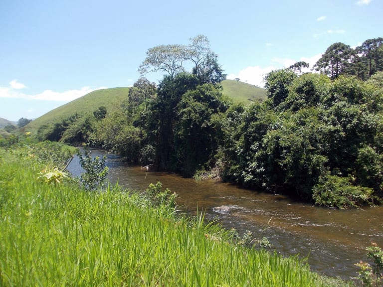 Rio Preto correndo entre a mata e o pasto na divisa do Rio de Janeiro com Minas Gerais, em Visconde de Mauá